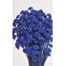 FLORAL BUTTONS Blue 18" (BULK)